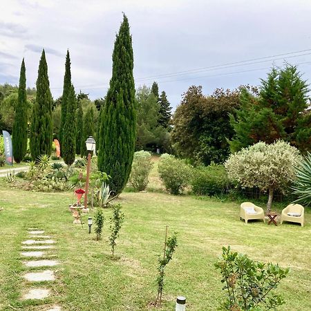 Domaine Des Lavarines Morieres-les-Avignon Ngoại thất bức ảnh