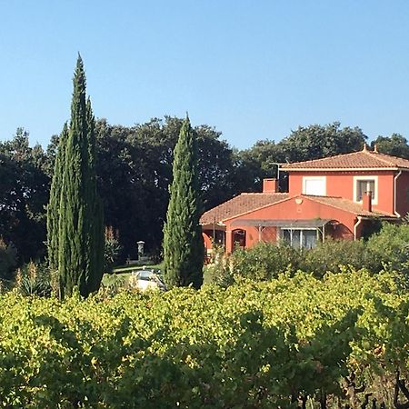 Domaine Des Lavarines Morieres-les-Avignon Ngoại thất bức ảnh